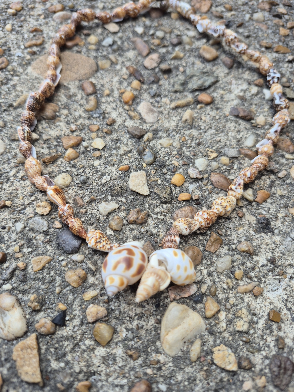 Handmade All Natural Virginia Beach Seashell Necklace/Braclet!